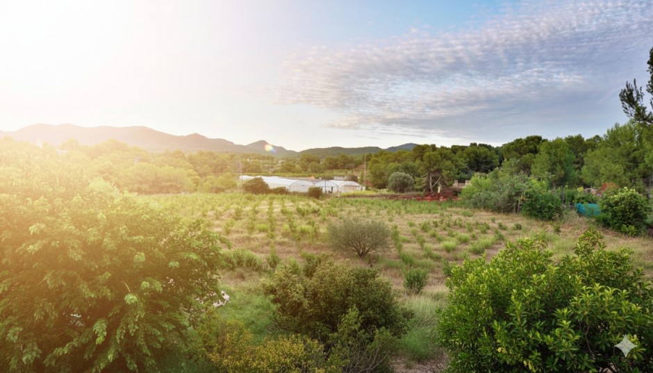Ekkofood organic farm landscape